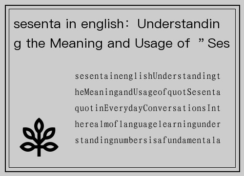 sesenta in english：Understanding the Meaning and Usage of ＂Sesenta＂ in Everyday Conversations